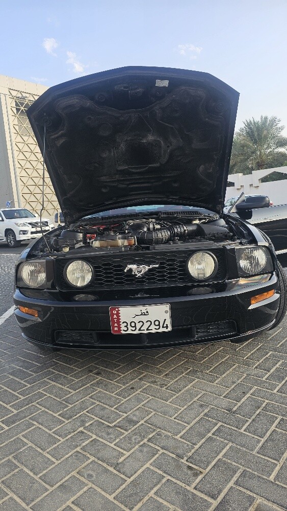Ford Mustang 2009 GT - 12