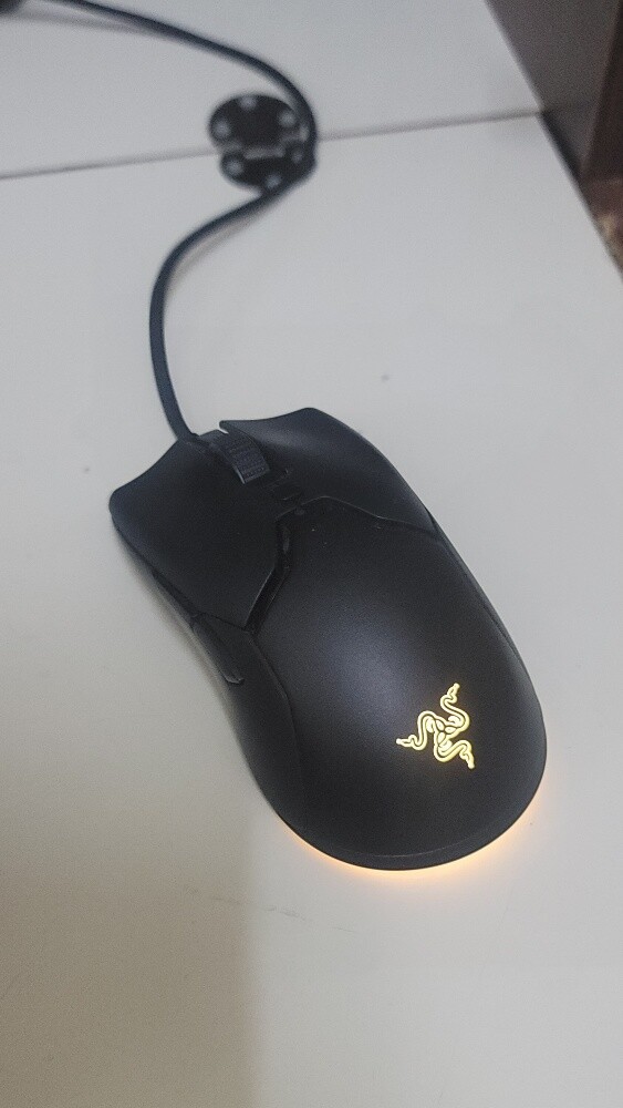 Razer Mouse - 1