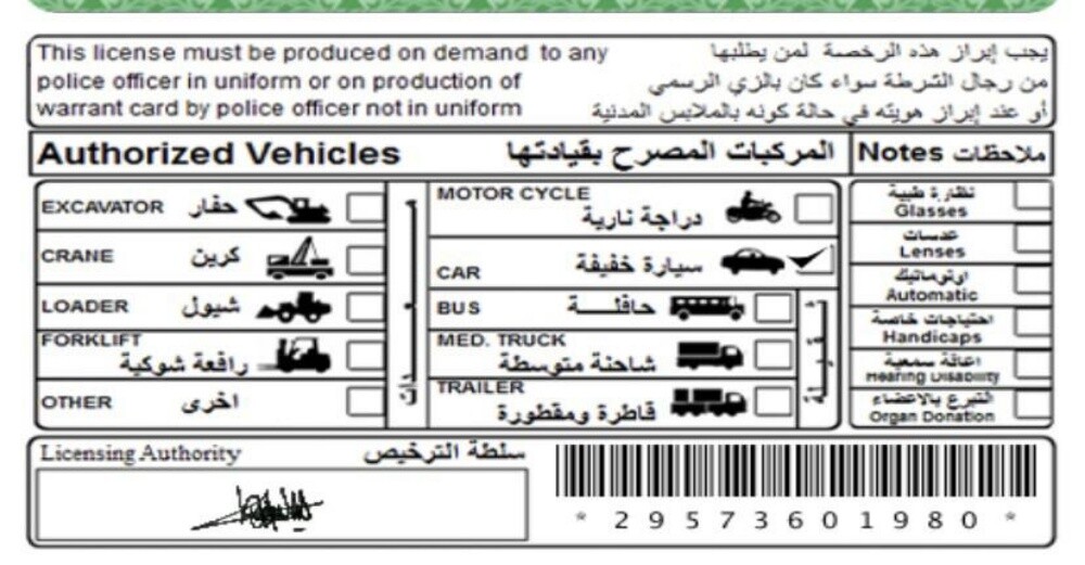 معتصم محمد - 1