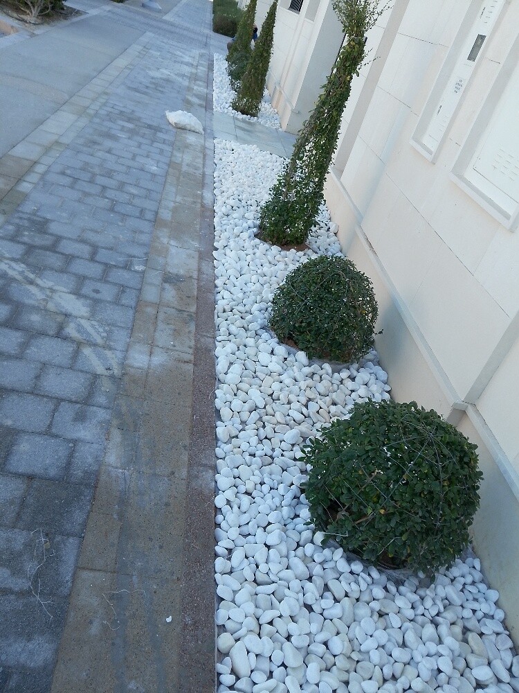 منسق ومصمم حدائق - 4