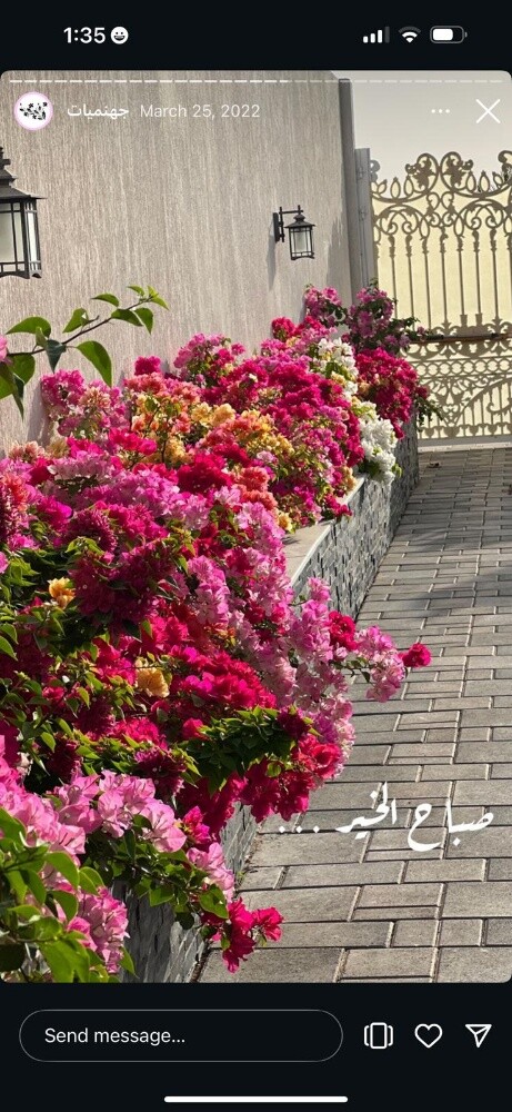 منسق ومصمم حدائق - 2