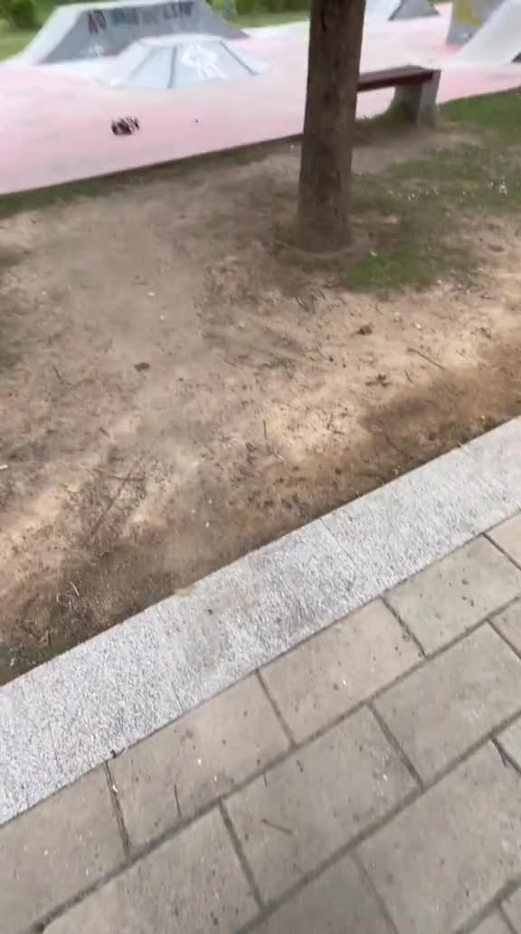rc car 75km/h speed - 4