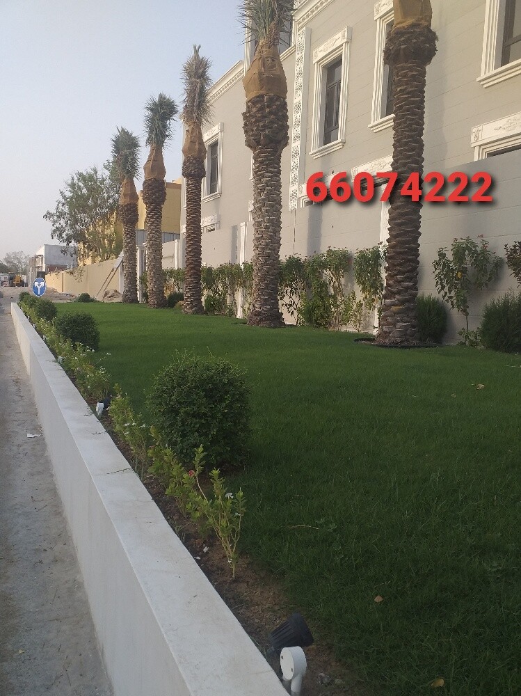 منسق حدائق وديكورات - 3