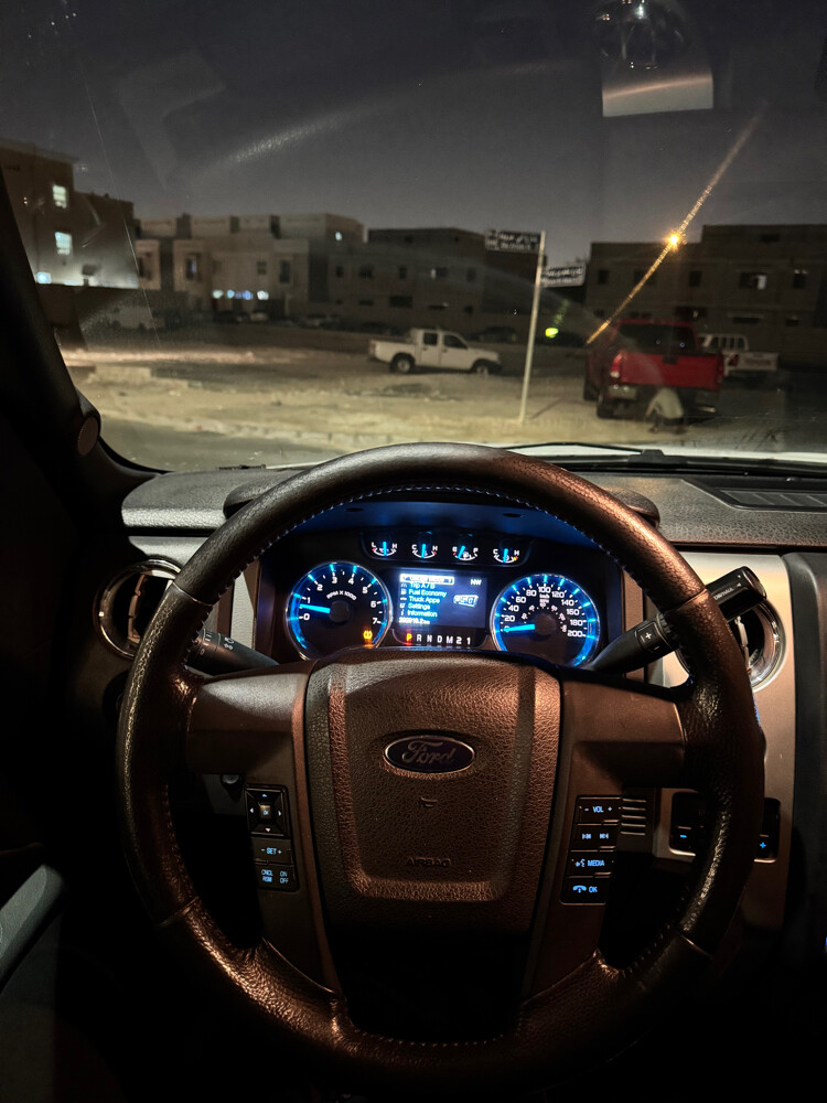 F-150 Special Edition — photo 6 for sale in Qatar