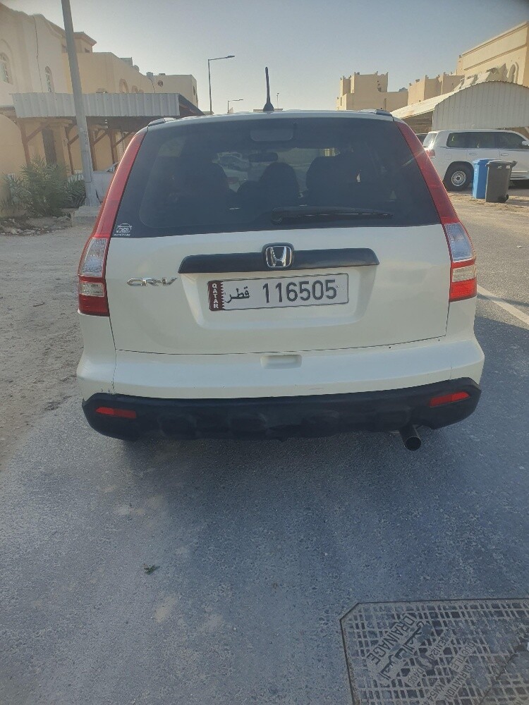 ali - 2
