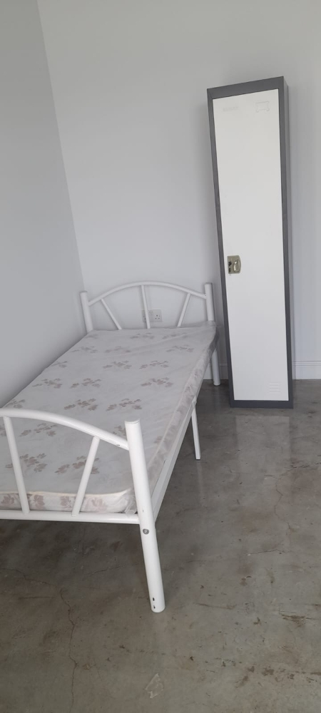 New Bunk Bed , New Single Bed - 4