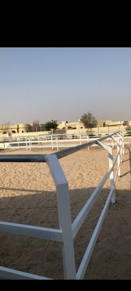 اصطبلات الخيول وبديكات وغرف بأفضل - 14