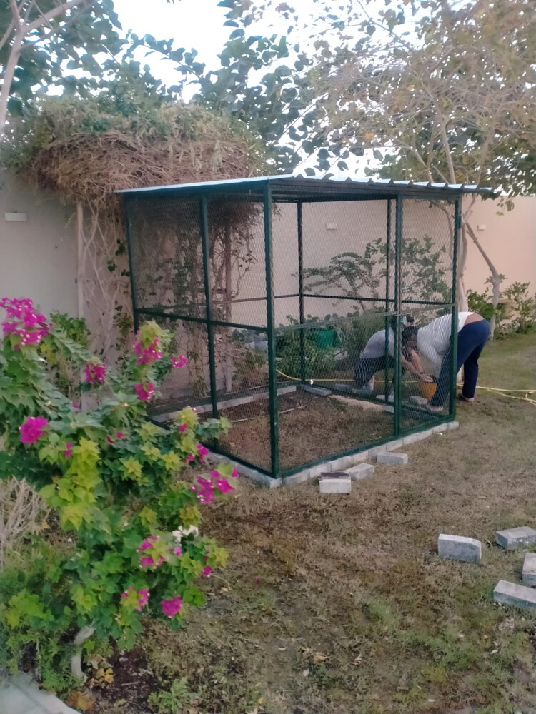 قفص  - 4