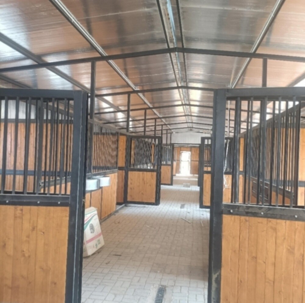 اصطبلات الخيول وبديكات وغرف بأفضل - 10