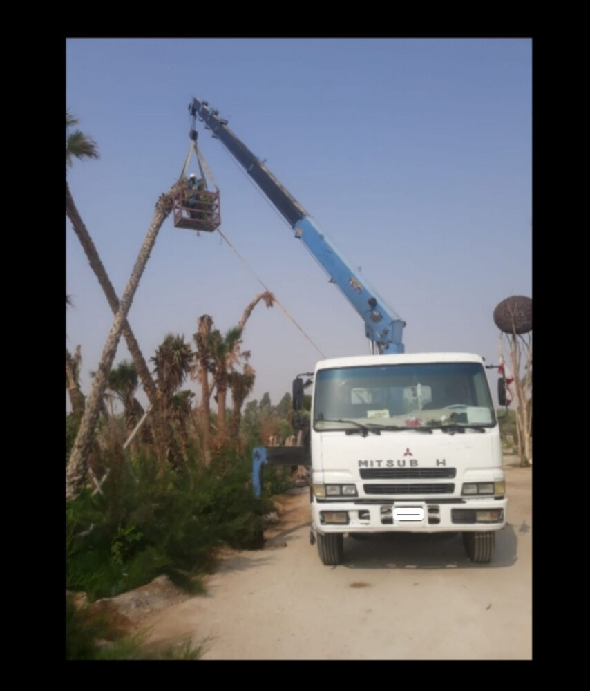 boom trucks for rent - 3