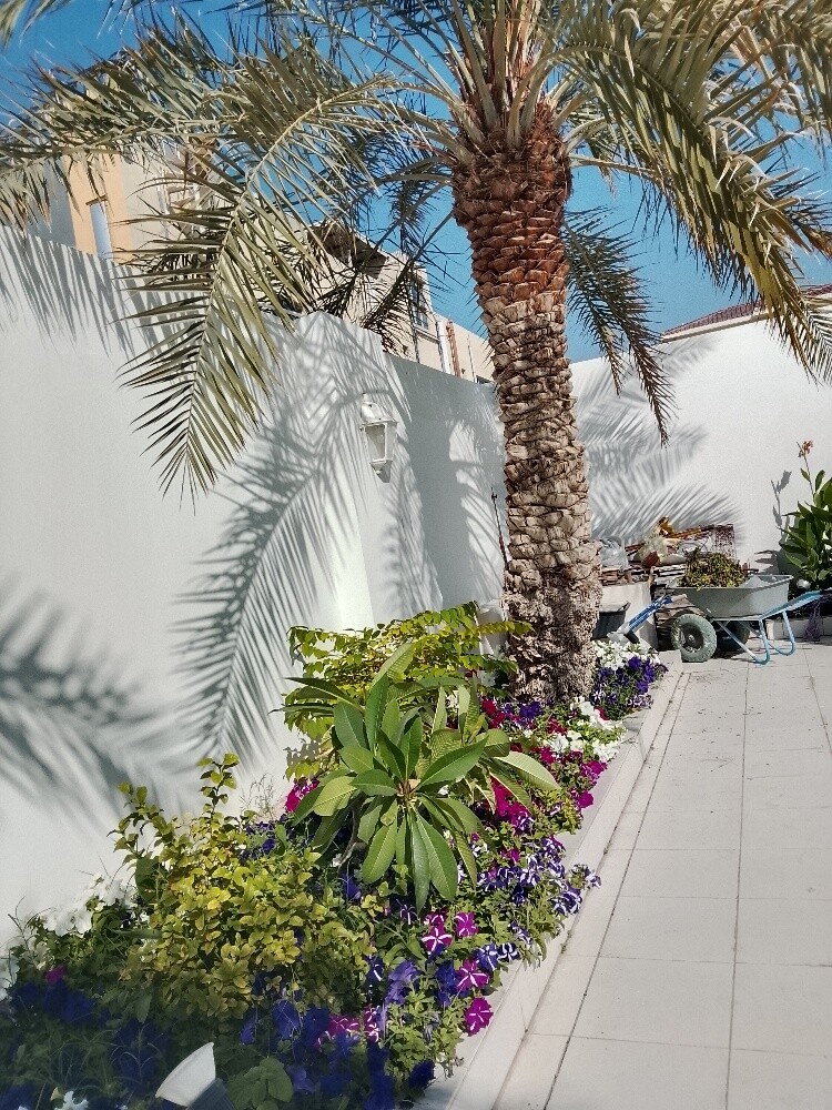 Ali Al Baloshi - 8