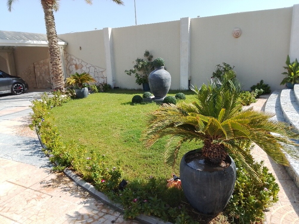 Ali Al Baloshi - 6
