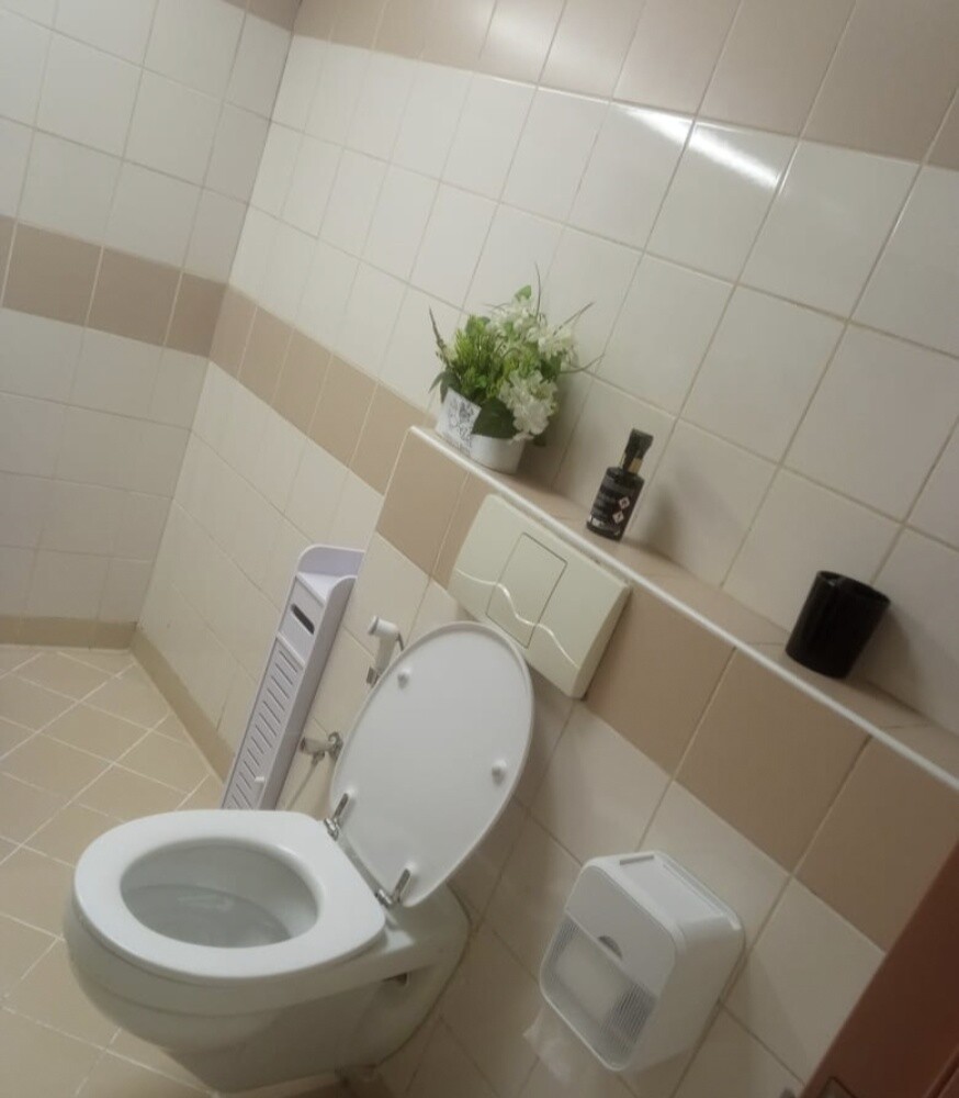Plumbing and Painting - 4