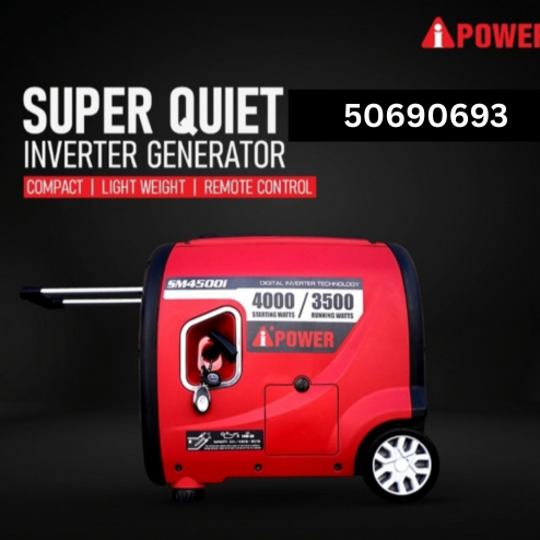 iPower 4 kW Inverter (SM4000i) - 2