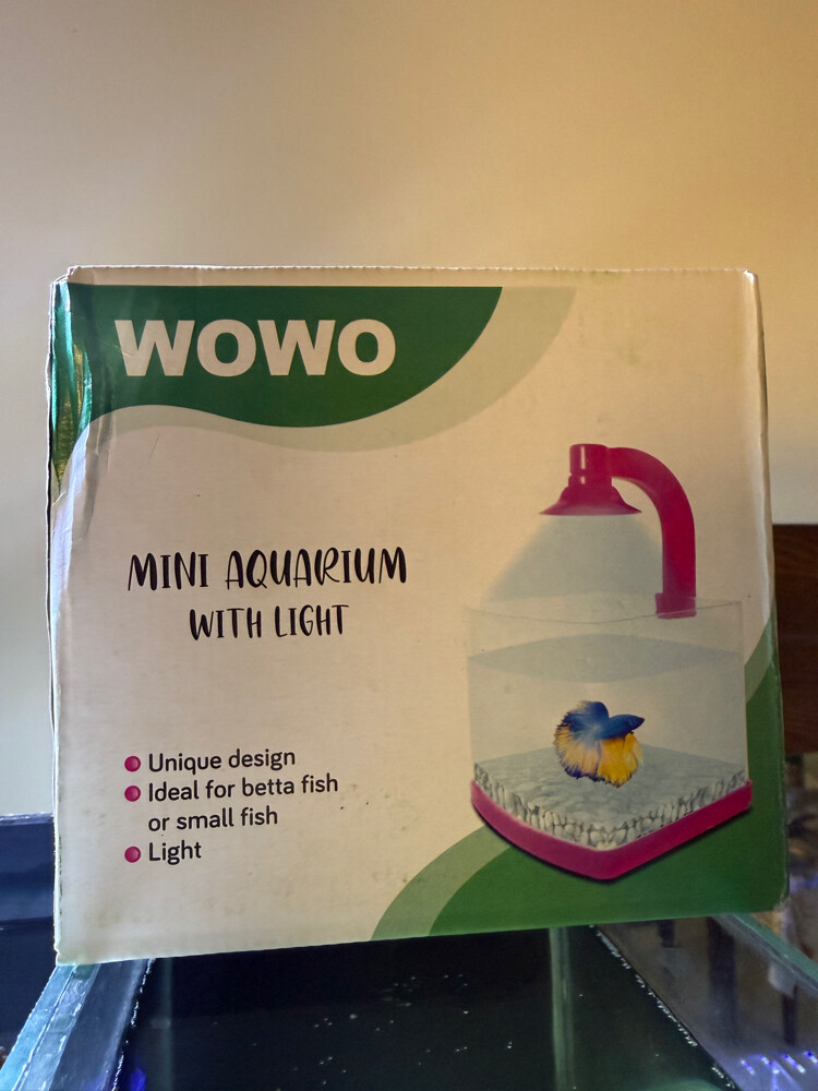 fighter fish aquarium - 1