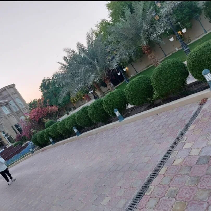 منسق حدائق - 2
