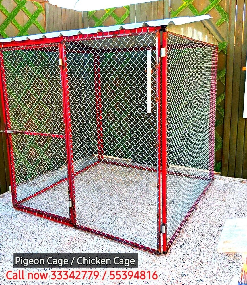 Cat Cage 2/2 - 1