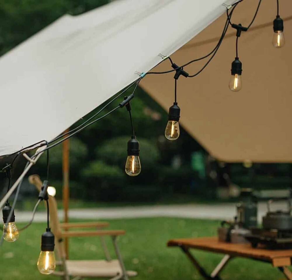 Black wire with bulbs available - 3