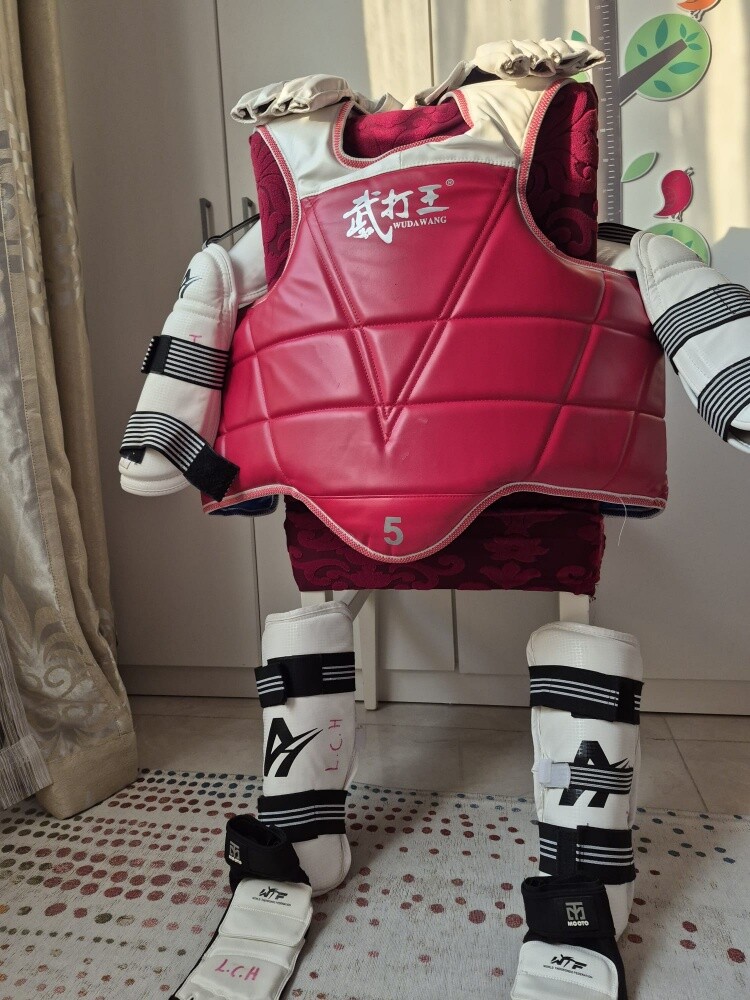 taekwondo protection equipment - 10
