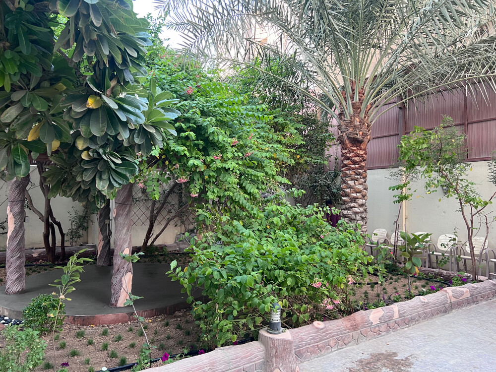 landscaping &irrigation networks - 10