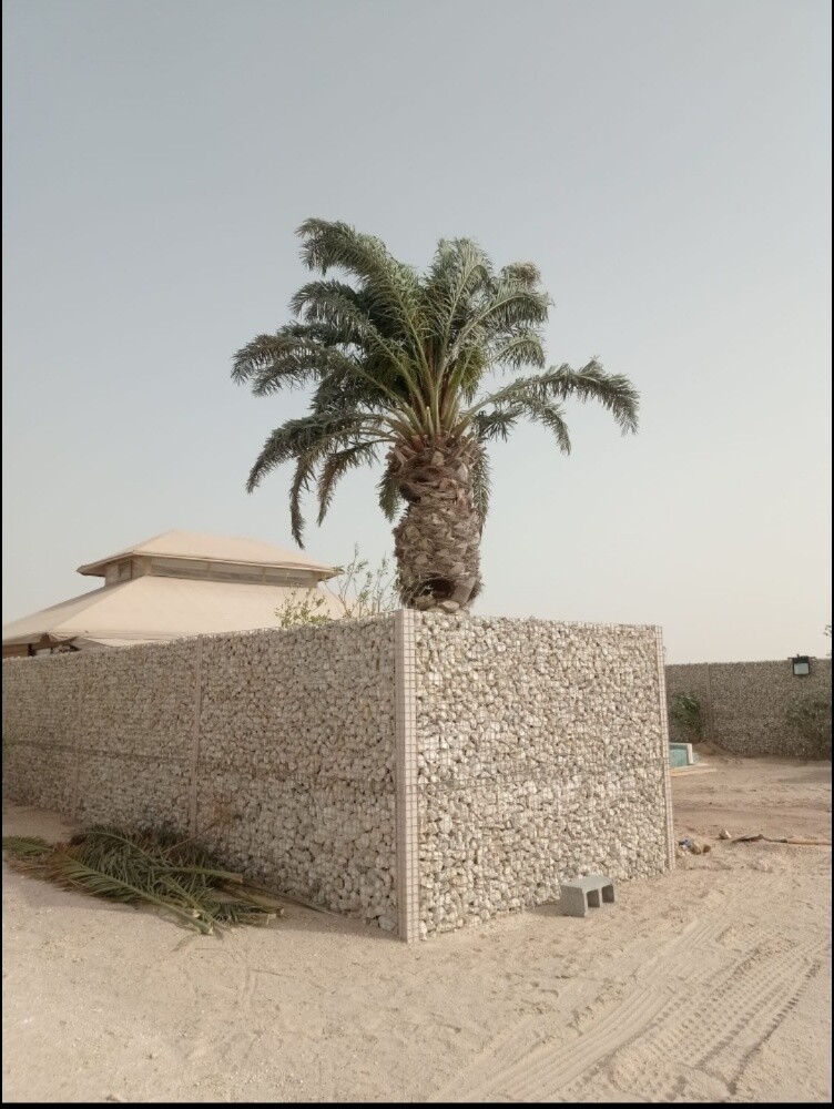 تصميم وإنشاء وتشطيب شركه استارت - 17
