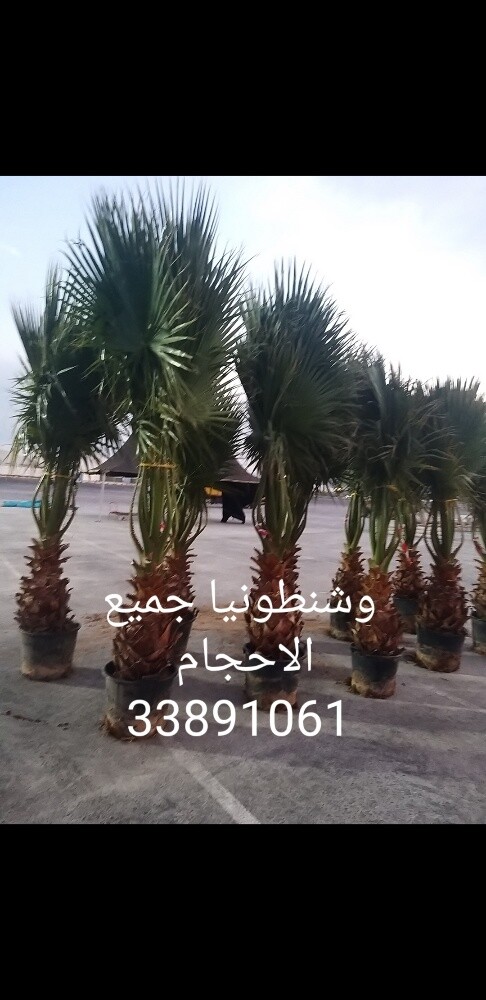 تصميم وانشاء وزراعة الحدائق - 30