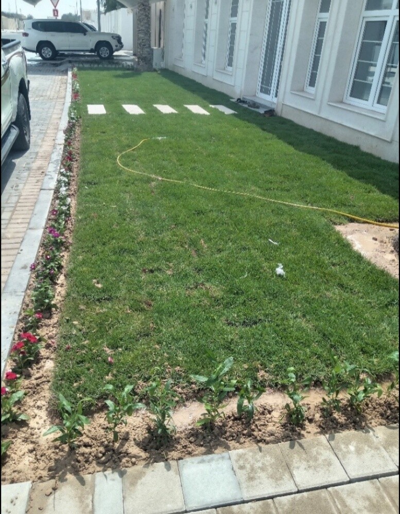 شركة زراعية وديكورات - 7