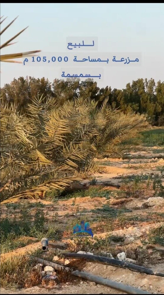 للبيع مزرعه سمسمه - 6
