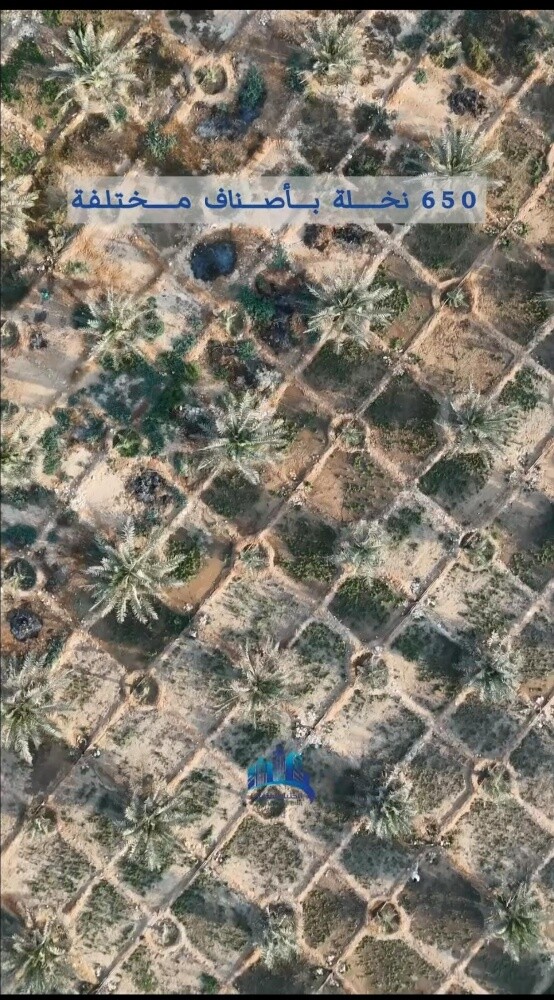 للبيع مزرعه سمسمه - 3