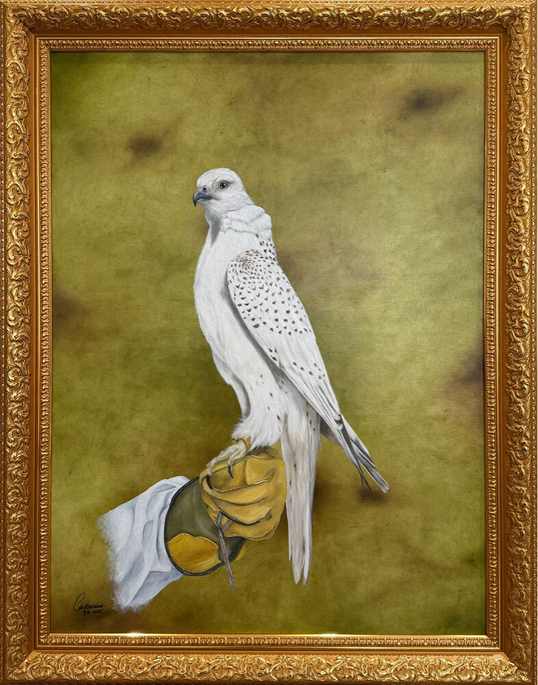 Falcon 1 - 1