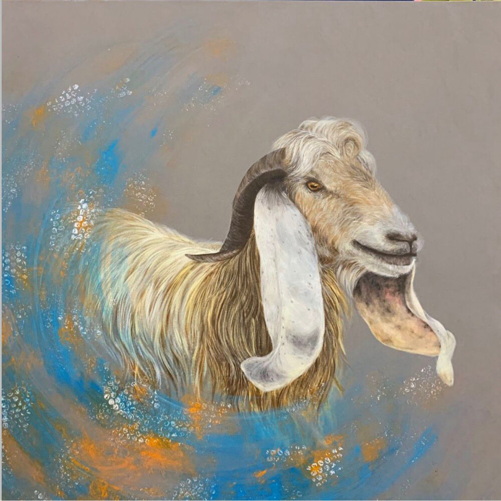 Artidi  - 2