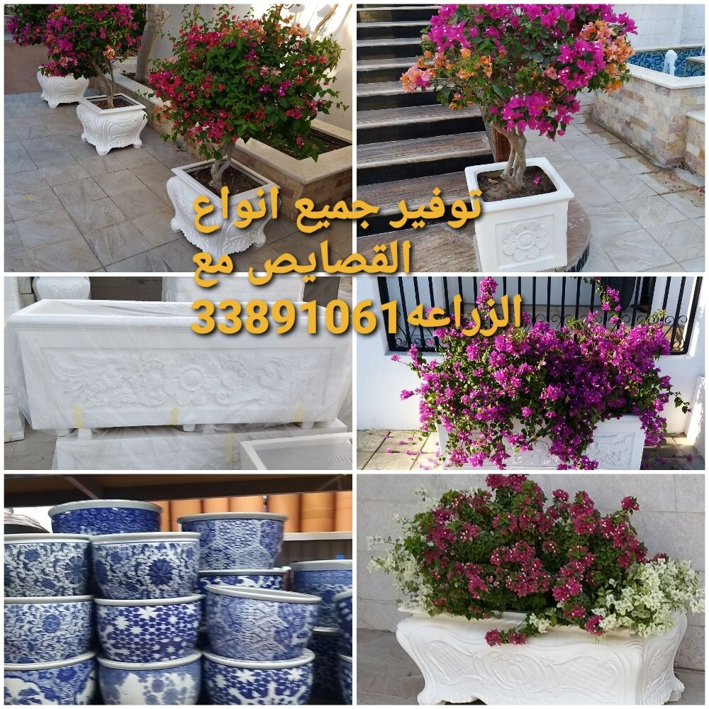تصميم وانشاء وزراعة الحدائق - 7