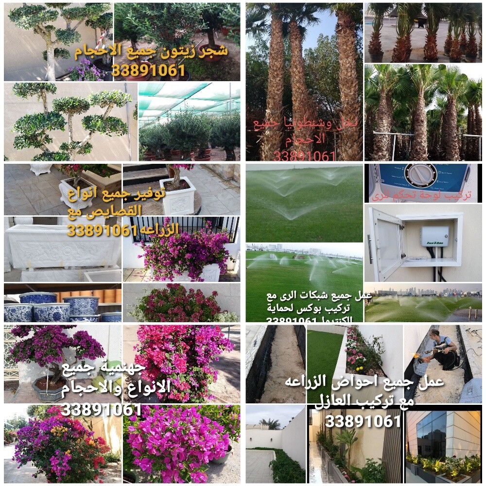 تصميم وانشاء وزراعة الحدائق - 8