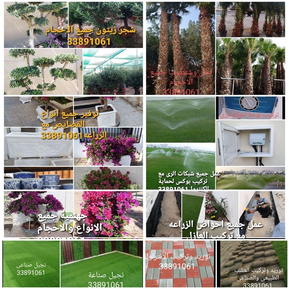 تصميم وانشاء وزراعة الحدائق - 10