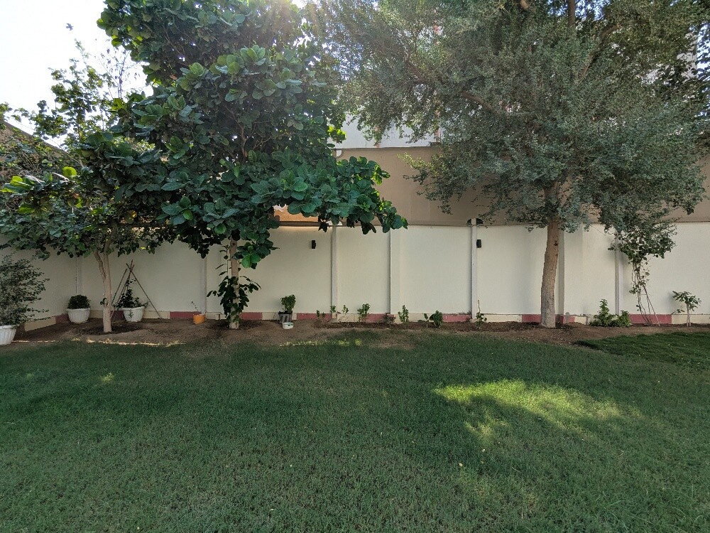 سمير البلوشي - 27