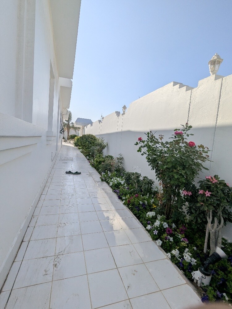 سمير البلوشي - 8