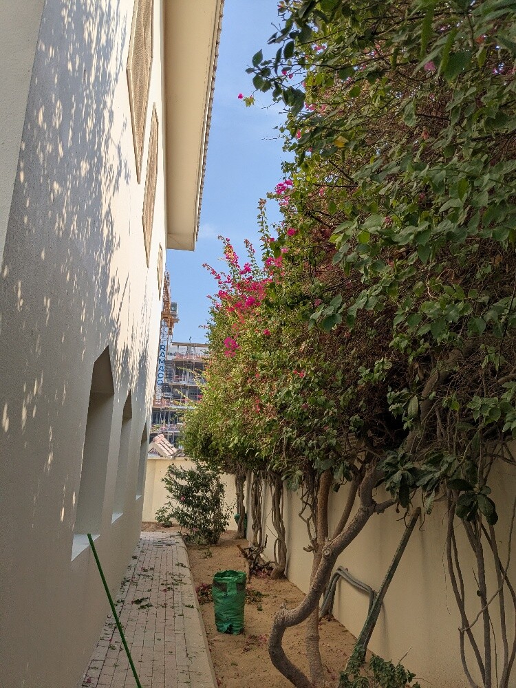 سمير البلوشي - 18