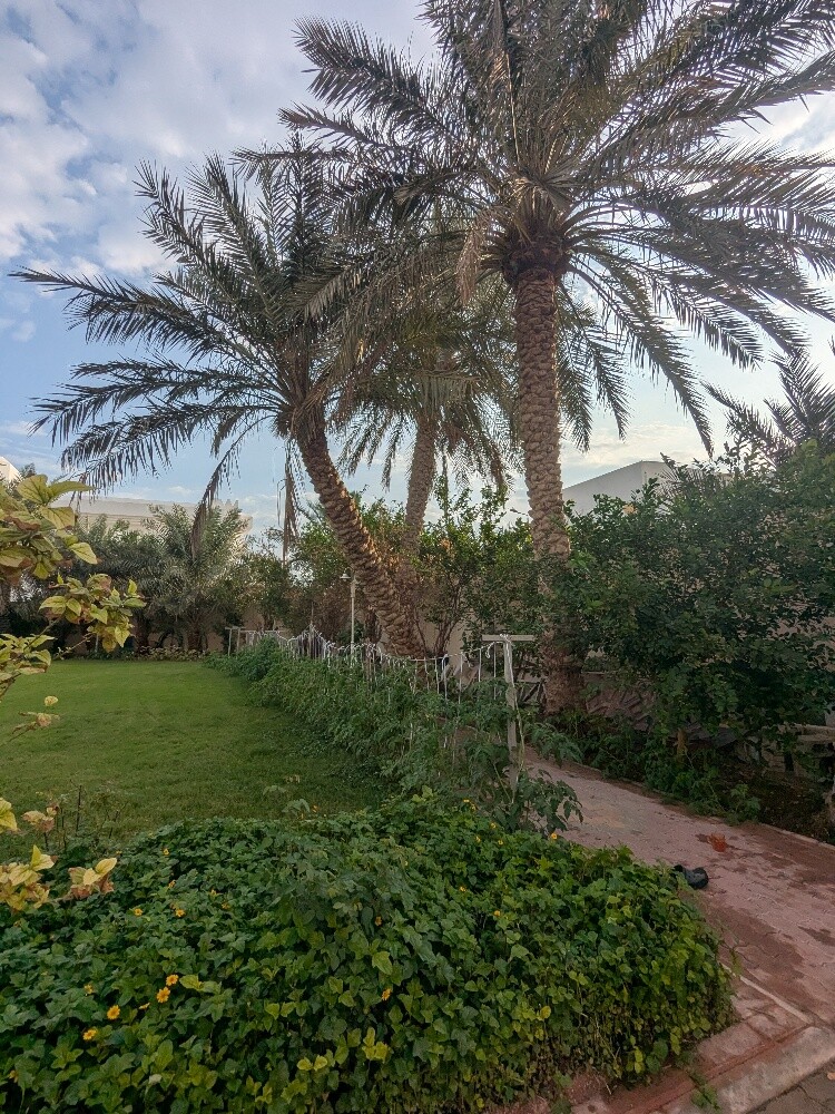 سمير البلوشي - 9