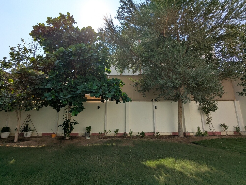 سمير البلوشي - 28