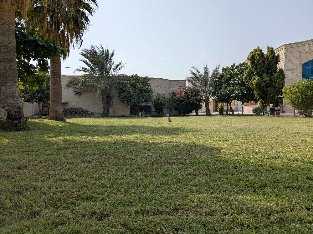سمير البلوشي - 24