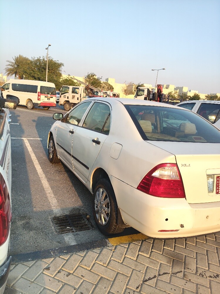 ابوميار - 4