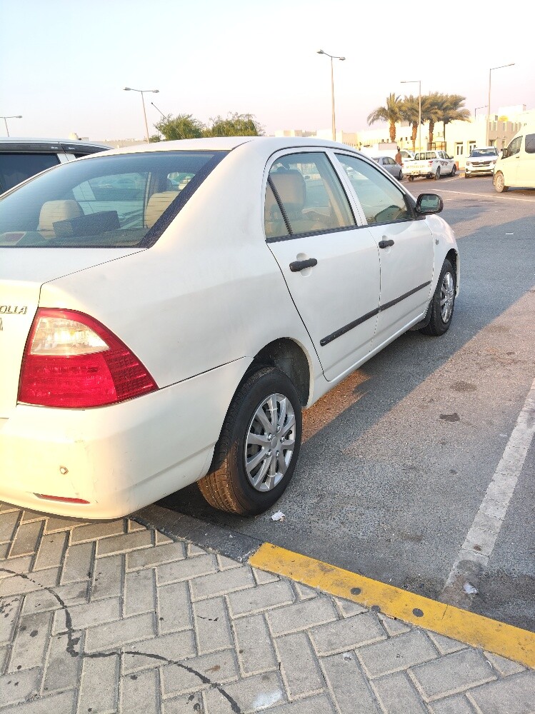 ابوميار - 5