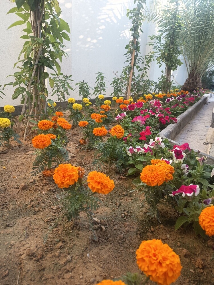 مهندس زراعي - 4