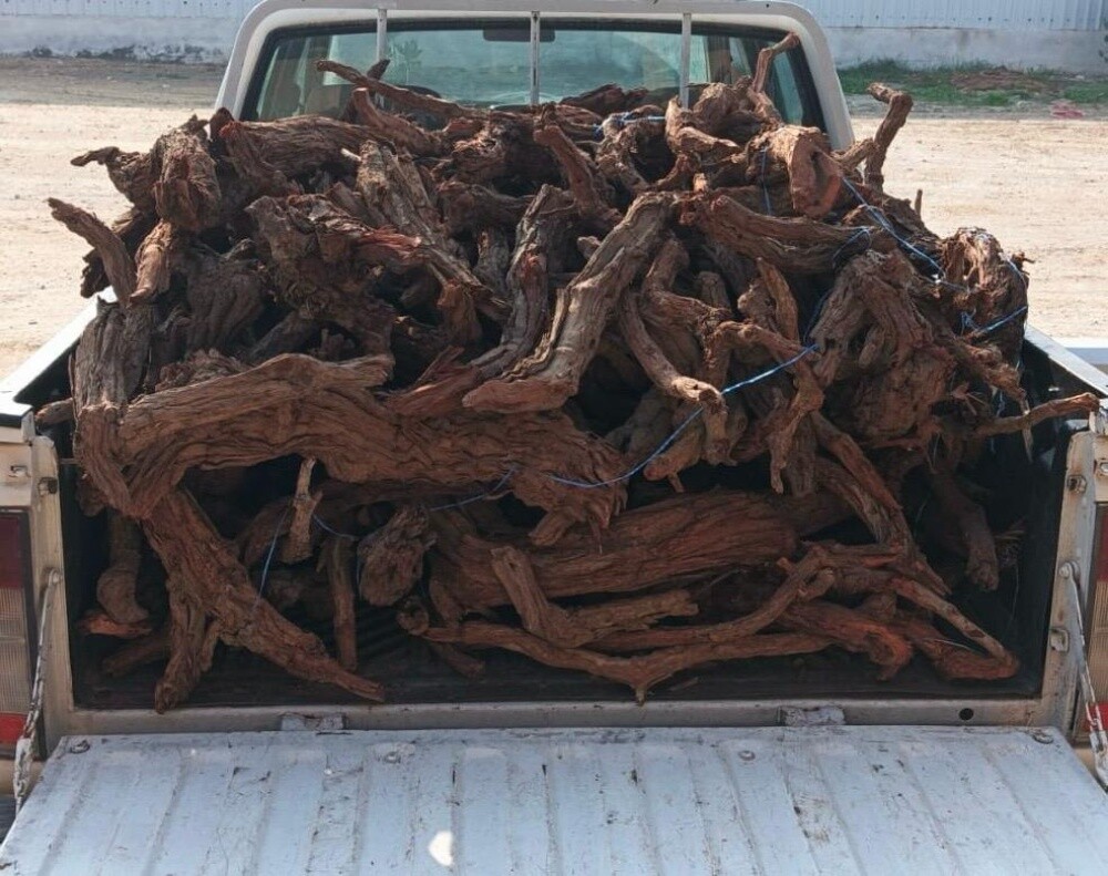 حطب عبل ارطى - 2