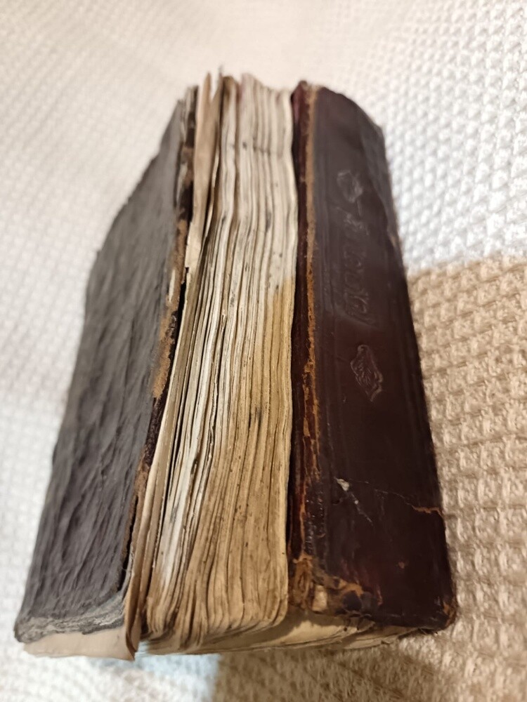 manuscript of the Holy Quran - 2