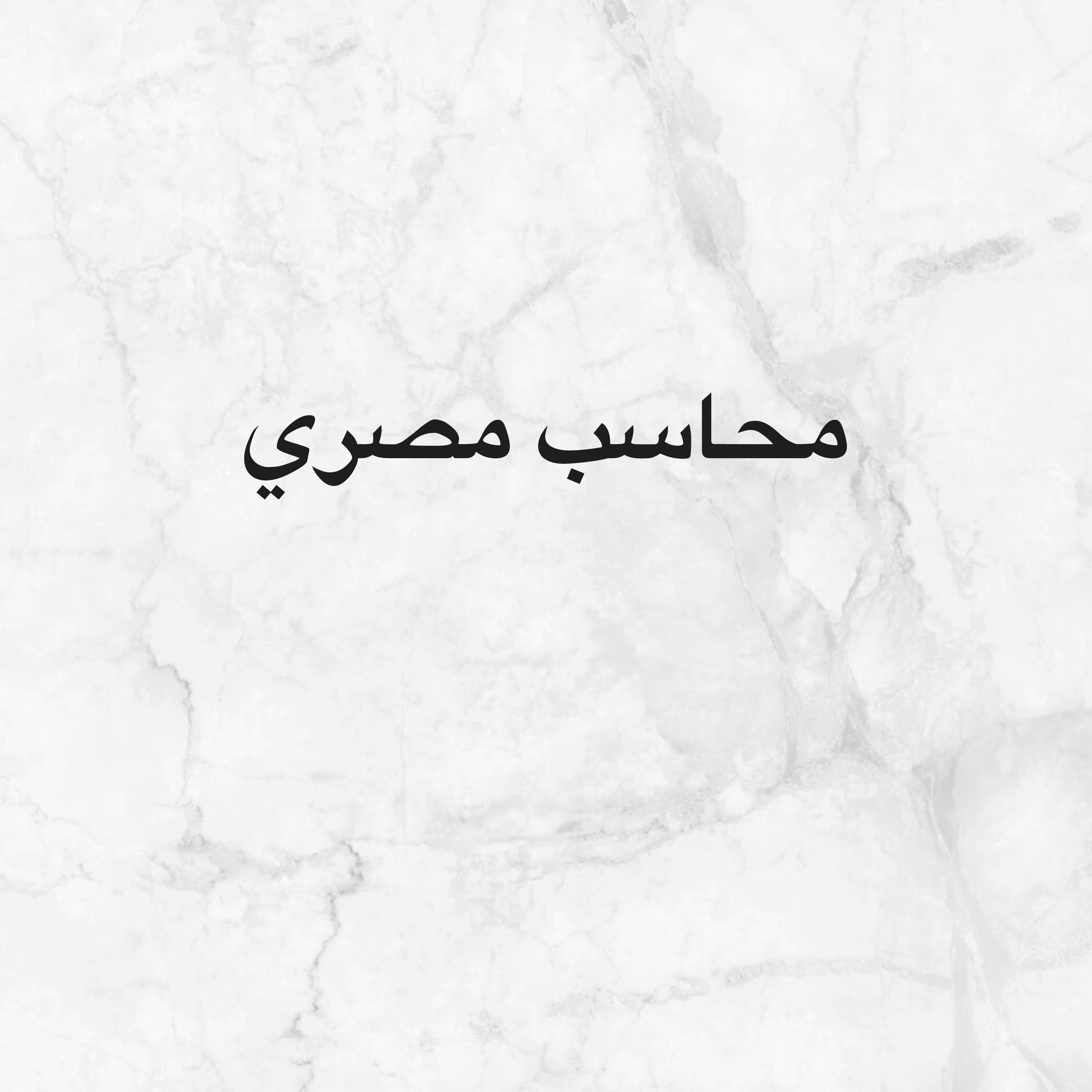 محاسب مصري بارت تايم فقط - 1