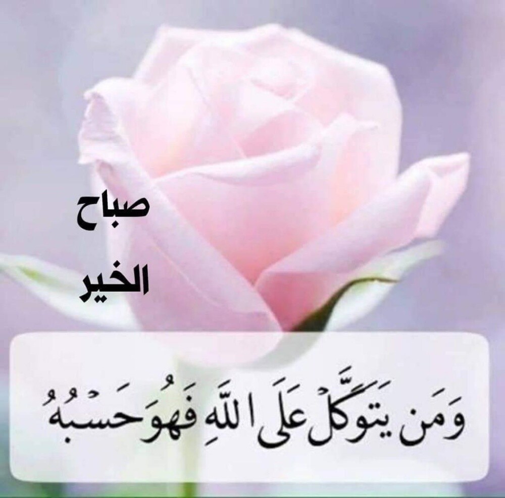 احمد - 1