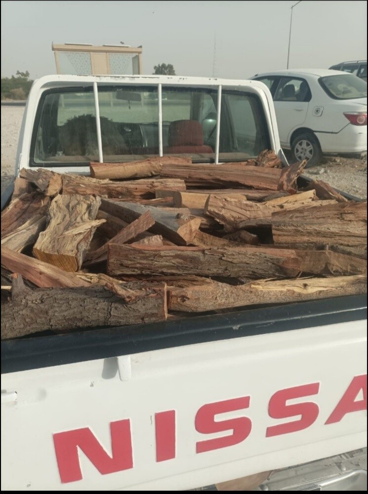 حطب سدر وقرض ناشف مشلخ - 2