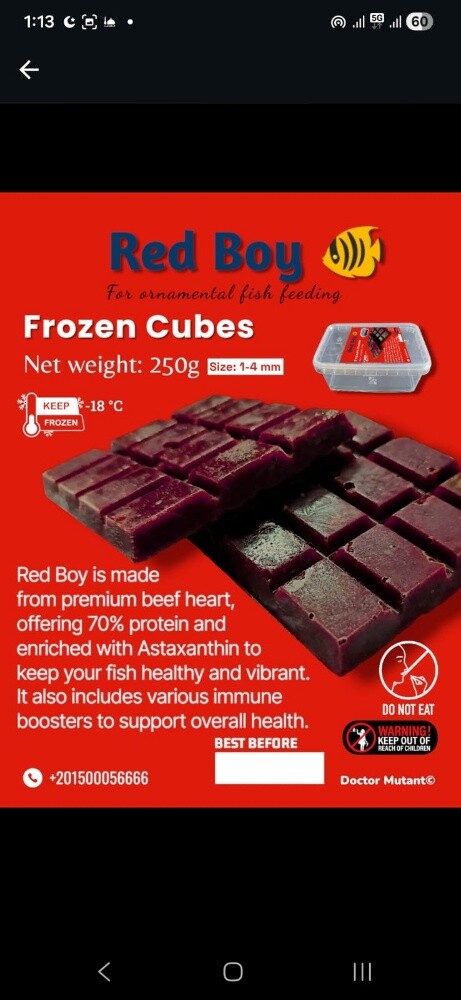frozen fish food fresh all types - 3