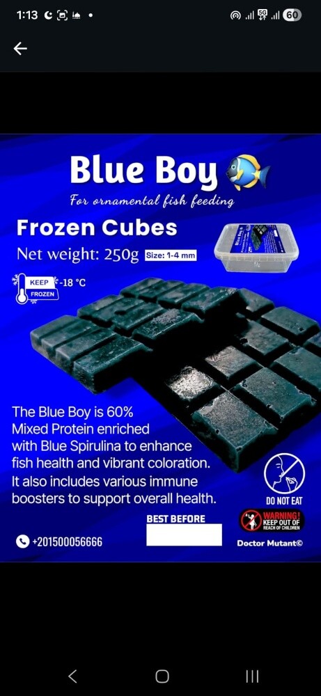 frozen fish food fresh all types - 2